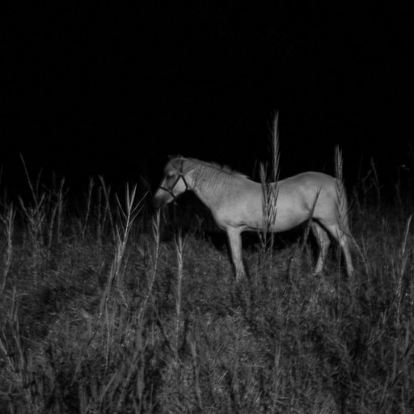 Mostre fotografiche nel Triveneto – giugno 2025